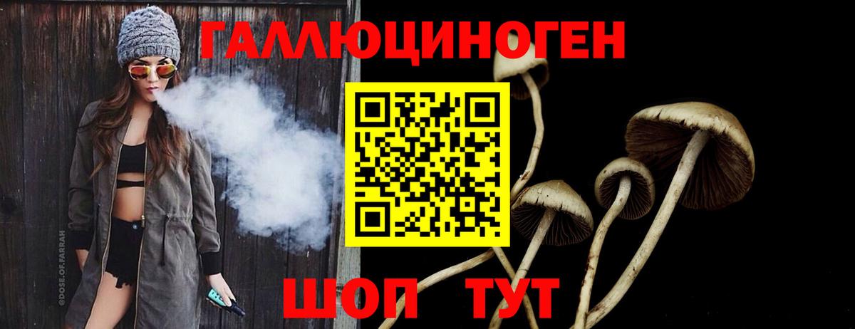 Псилоцибиновые грибы Psilocybe  магазин продажи наркотиков  Воткинск  Вход с VPN 